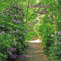 Dan Falvey - Woodland Walk